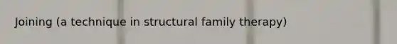 Joining (a technique in structural family therapy)