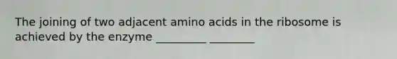 The joining of two adjacent amino acids in the ribosome is achieved by the enzyme _________ ________