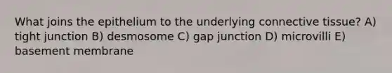 What joins the epithelium to the underlying connective tissue? A) tight junction B) desmosome C) gap junction D) microvilli E) basement membrane