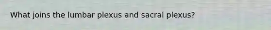What joins the lumbar plexus and sacral plexus?