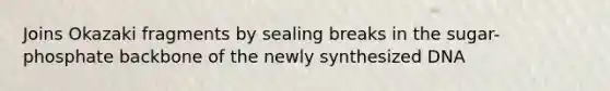 Joins Okazaki fragments by sealing breaks in the sugar-phosphate backbone of the newly synthesized DNA