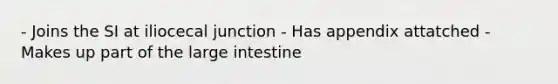 - Joins the SI at iliocecal junction - Has appendix attatched - Makes up part of the large intestine