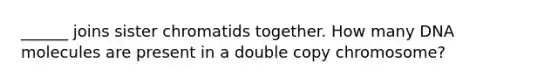 ______ joins sister chromatids together. How many DNA molecules are present in a double copy chromosome?