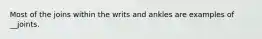 Most of the joins within the writs and ankles are examples of __joints.