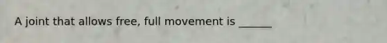 A joint that allows free, full movement is ______