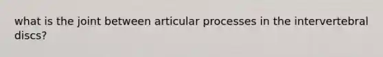 what is the joint between articular processes in the intervertebral discs?