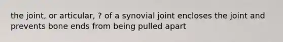 the joint, or articular, ? of a synovial joint encloses the joint and prevents bone ends from being pulled apart