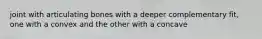 joint with articulating bones with a deeper complementary fit, one with a convex and the other with a concave