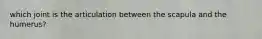 which joint is the articulation between the scapula and the humerus?