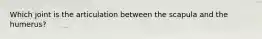 Which joint is the articulation between the scapula and the humerus?