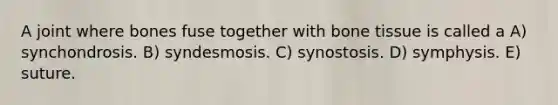 A joint where bones fuse together with bone tissue is called a A) synchondrosis. B) syndesmosis. C) synostosis. D) symphysis. E) suture.