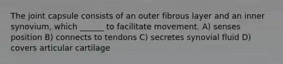 The joint capsule consists of an outer fibrous layer and an inner synovium, which ______ to facilitate movement. A) senses position B) connects to tendons C) secretes synovial fluid D) covers articular cartilage