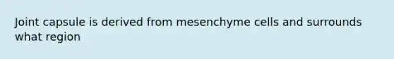 Joint capsule is derived from mesenchyme cells and surrounds what region