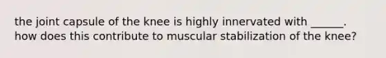 the joint capsule of the knee is highly innervated with ______. how does this contribute to muscular stabilization of the knee?