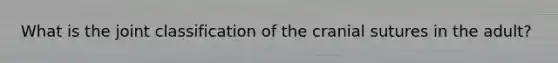What is the joint classification of the cranial sutures in the adult?