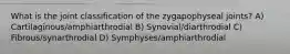 What is the joint classification of the zygapophyseal joints? A) Cartilaginous/amphiarthrodial B) Synovial/diarthrodial C) Fibrous/synarthrodial D) Symphyses/amphiarthrodial