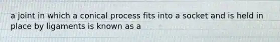 a joint in which a conical process fits into a socket and is held in place by ligaments is known as a