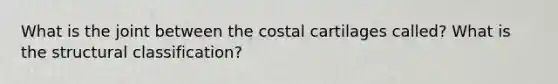 What is the joint between the costal cartilages called? What is the structural classification?