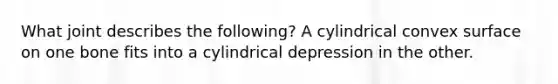 What joint describes the following? A cylindrical convex surface on one bone fits into a cylindrical depression in the other.