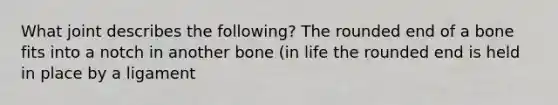 What joint describes the following? The rounded end of a bone fits into a notch in another bone (in life the rounded end is held in place by a ligament