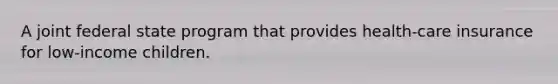 A joint federal state program that provides health-care insurance for low-income children.
