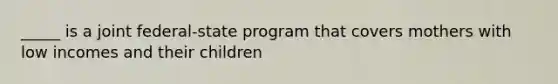 _____ is a joint federal-state program that covers mothers with low incomes and their children