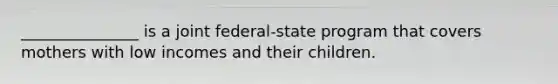 _______________ is a joint federal-state program that covers mothers with low incomes and their children.