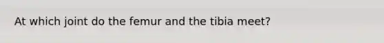 At which joint do the femur and the tibia meet?