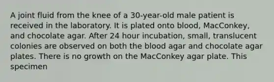A joint fluid from the knee of a 30-year-old male patient is received in the laboratory. It is plated onto blood, MacConkey, and chocolate agar. After 24 hour incubation, small, translucent colonies are observed on both <a href='https://www.questionai.com/knowledge/k7oXMfj7lk-the-blood' class='anchor-knowledge'>the blood</a> agar and chocolate agar plates. There is no growth on the MacConkey agar plate. This specimen