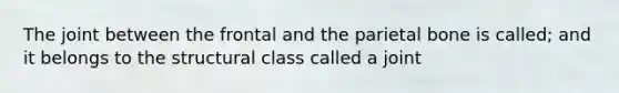 The joint between the frontal and the parietal bone is called; and it belongs to the structural class called a joint