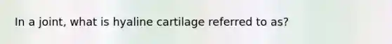 In a joint, what is hyaline cartilage referred to as?