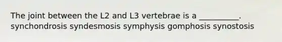 The joint between the L2 and L3 vertebrae is a __________. synchondrosis syndesmosis symphysis gomphosis synostosis