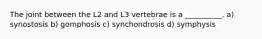 The joint between the L2 and L3 vertebrae is a __________. a) synostosis b) gomphosis c) synchondrosis d) symphysis