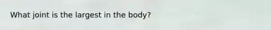 What joint is the largest in the body?