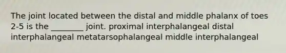 The joint located between the distal and middle phalanx of toes 2-5 is the ________ joint. proximal interphalangeal distal interphalangeal metatarsophalangeal middle interphalangeal