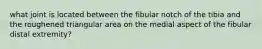 what joint is located between the fibular notch of the tibia and the roughened triangular area on the medial aspect of the fibular distal extremity?