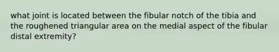 what joint is located between the fibular notch of the tibia and the roughened triangular area on the medial aspect of the fibular distal extremity?