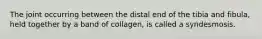 The joint occurring between the distal end of the tibia and fibula, held together by a band of collagen, is called a syndesmosis.