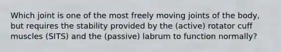 Which joint is one of the most freely moving joints of the body, but requires the stability provided by the (active) rotator cuff muscles (SITS) and the (passive) labrum to function normally?