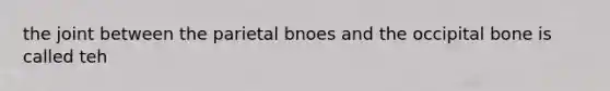 the joint between the parietal bnoes and the occipital bone is called teh