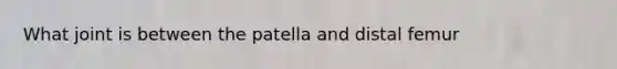 What joint is between the patella and distal femur