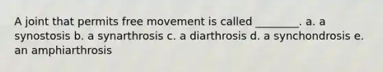 A joint that permits free movement is called ________. a. a synostosis b. a synarthrosis c. a diarthrosis d. a synchondrosis e. an amphiarthrosis