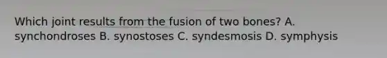 Which joint results from the fusion of two bones? A. synchondroses B. synostoses C. syndesmosis D. symphysis