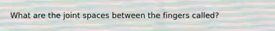 What are the joint spaces between the fingers called?