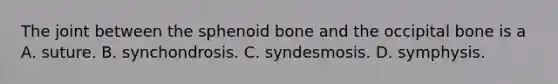 The joint between the sphenoid bone and the occipital bone is a A. suture. B. synchondrosis. C. syndesmosis. D. symphysis.