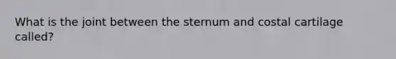 What is the joint between the sternum and costal cartilage called?