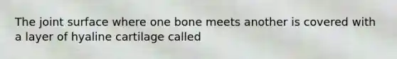 The joint surface where one bone meets another is covered with a layer of hyaline cartilage called