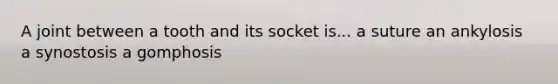 A joint between a tooth and its socket is... a suture an ankylosis a synostosis a gomphosis