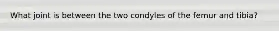 What joint is between the two condyles of the femur and tibia?