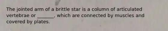 The jointed arm of a brittle star is a column of articulated vertebrae or _______, which are connected by muscles and covered by plates.